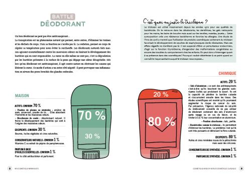100 Recettes De Cosmétiques Maison Pdf
