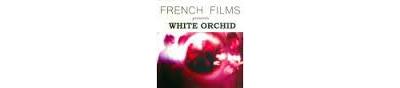 White orchid - Inclus coupon MP3