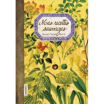 Mes recettes sauvages feuilles-fleurs-fruits