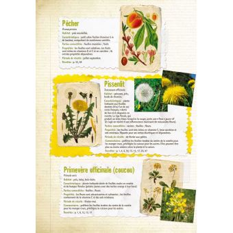 Mes recettes sauvages feuilles-fleurs-fruits