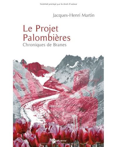 Le projet palombieres