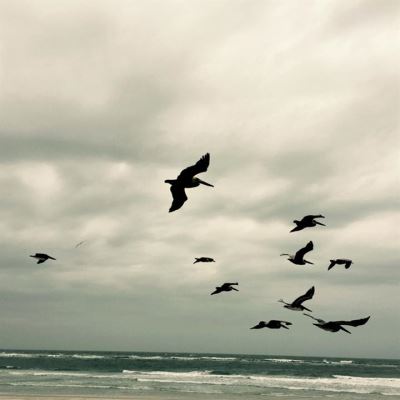 In a moment/music for piano and strings