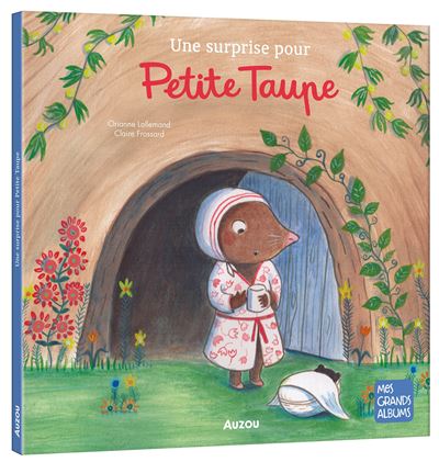Une surprise pour petite taupe (grand format)