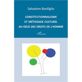 Constitutionnalisme et métissage culturel au-delà des droits de l'Homme