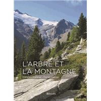 Arbre et la montagne