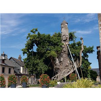 Les Arbres les plus remarquables de France