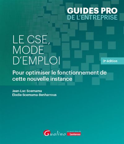 Le cse mode d'emploi toutes les cles et modalites pratiques