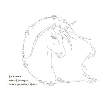 Animal Style - Ma pochette féerique Licornes des étoiles