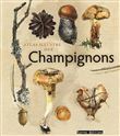 Atlas illustré des champignons