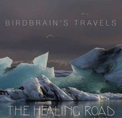 Birdbrains travels