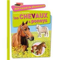 Les chevaux et poneys