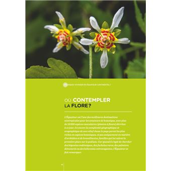 Équateur - Les Clés pour bien voyager