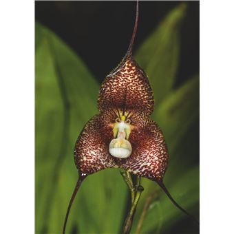 Équateur - Les Clés pour bien voyager