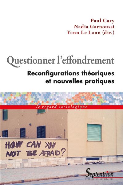 Questionner l'effondrement - Paul Cary - broché