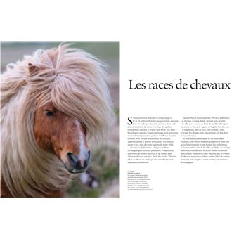 Les Chevaux