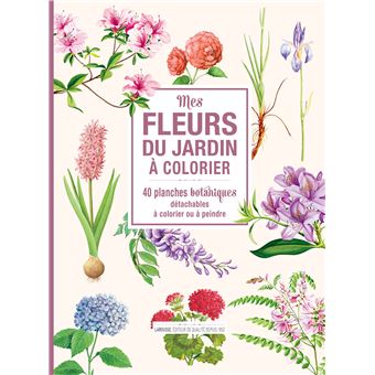 Mes fleurs du jardin à colorier