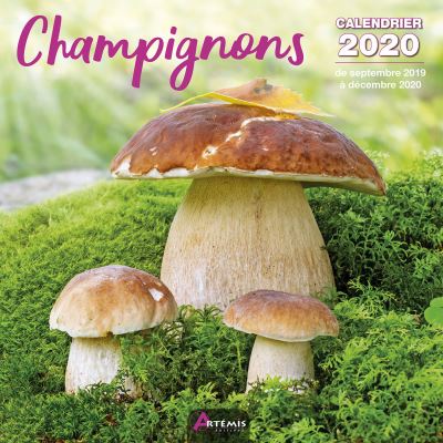 Calendrier Champignons (2020)