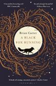 A BLACK FOX RUNNING
