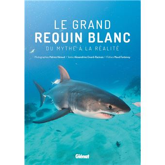 Le Grand Requin Blanc Du Mythe A La Realite Broche Alexandrine Civard Racinais Patrice Heraud Achat Livre Fnac