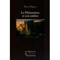 Après Husserl - le phénomène et son ombre