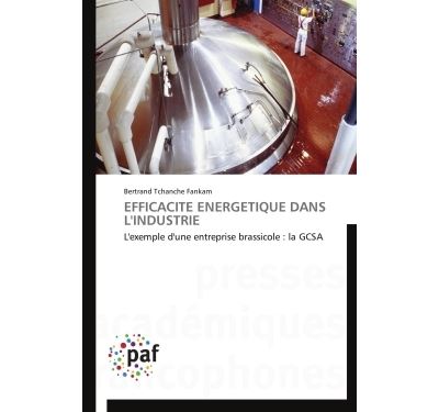 Efficacité energétique dans l'industrie