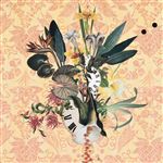 Wildflowers Vol 3 - CD