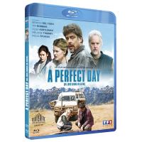 A Perfect Day