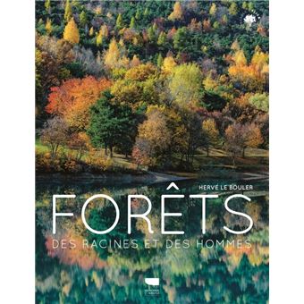 Forêts