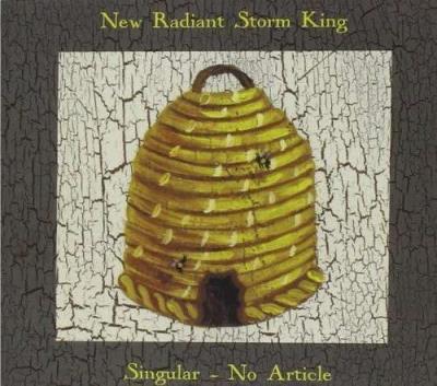 Singular - No article