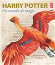 Un monde de magie