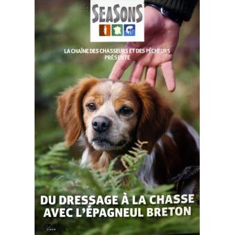 Du dressage à la chasse avec lu0027épagneul breton