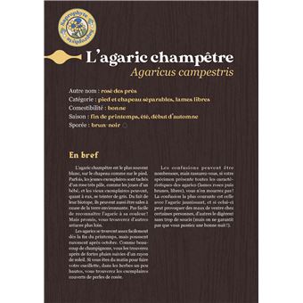 Comment trouver des champignons ?
