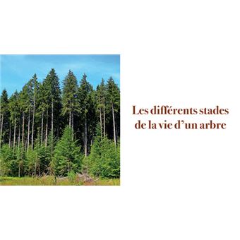 Au coeur des forets de franche-comte