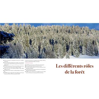 Au coeur des forets de franche-comte