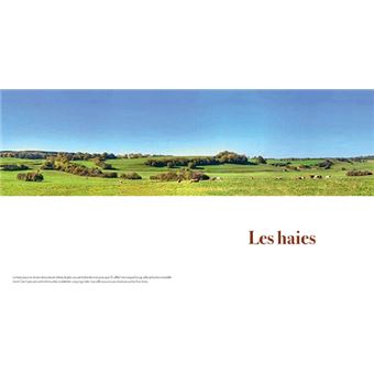 Au coeur des forets de franche-comte