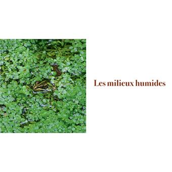 Au coeur des forets de franche-comte