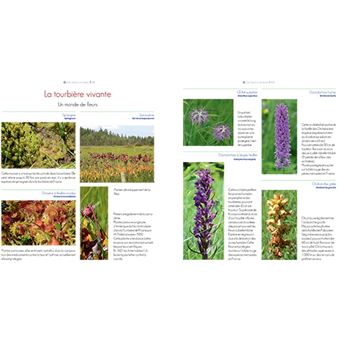 Au coeur des forets de franche-comte