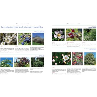 Au coeur des forets de franche-comte