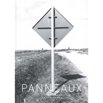 Panneaux Broche Xavier Dauny Achat Livre Fnac
