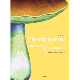 Champignons sauvages et gourmands