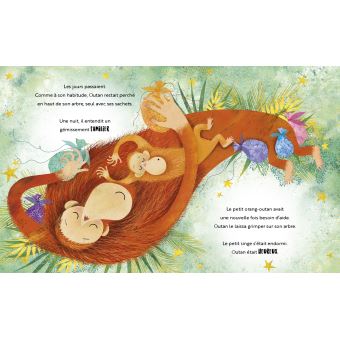 Editions Sassi - Une jalousie d'orang-outan