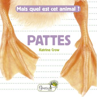 Pattes