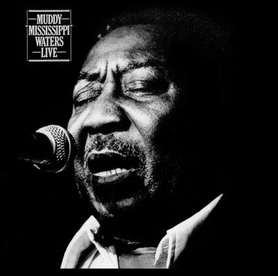 Muddy Mississippi Waters