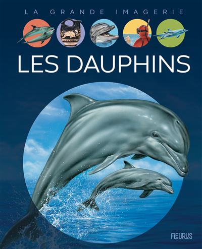 Les dauphins - Stéphanie Redoulès - cartonné