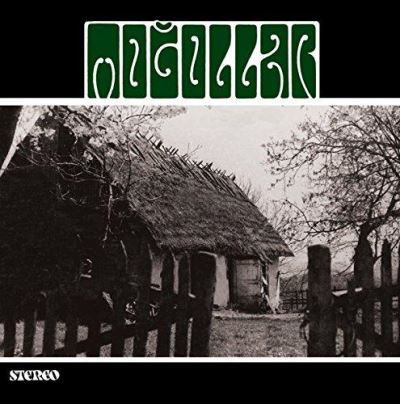 Mogollar