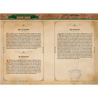 Harry Potter - Petites histoires et grands secrets du monde des sorciers