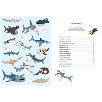 Requins