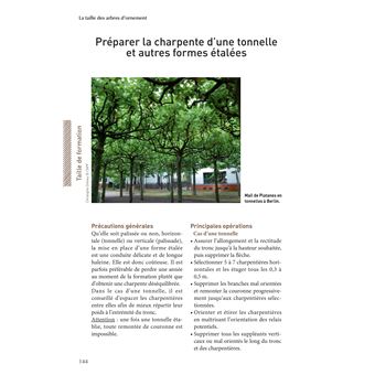 La taille des arbres d'ornement