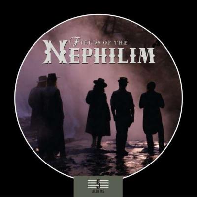 5 album boxset