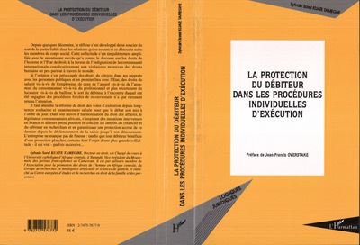 La protection du débiteur dans les procédures individuelles